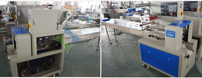 全自動(dòng)黑蒜真空包裝機(jī)整機(jī)正側(cè)面展示